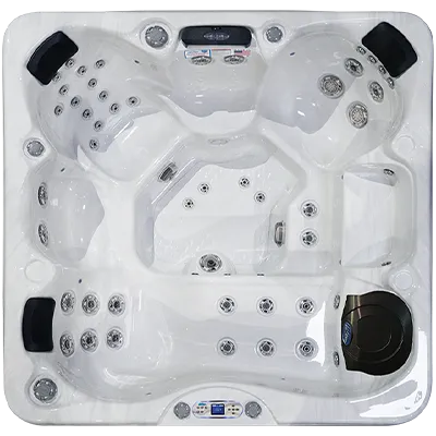 Avalon EC-849L hot tubs for sale in Ankeny