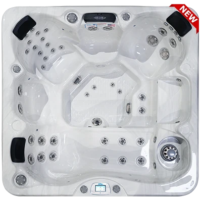 Avalon-X EC-849LX hot tubs for sale in Ankeny