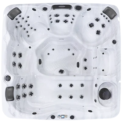 Avalon EC-867L hot tubs for sale in Ankeny